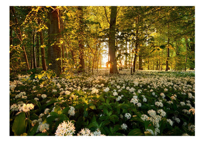 Fototapetes ar mežu - Meža flora, 97312 G-ART