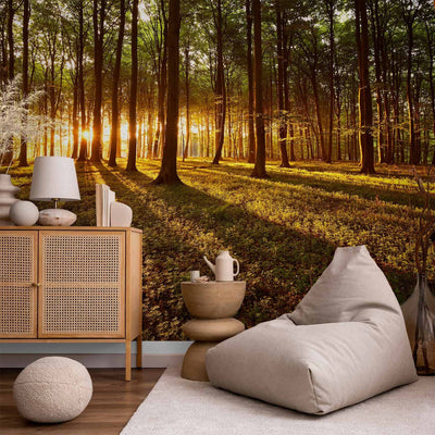 Wall Murals With the forest - Summer: Morning in the forest - 60495 - Buy a G -Art Room