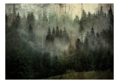 Fototapetes ar mežu vintāžas stilā - Meža skaistums, 142883 G-ART