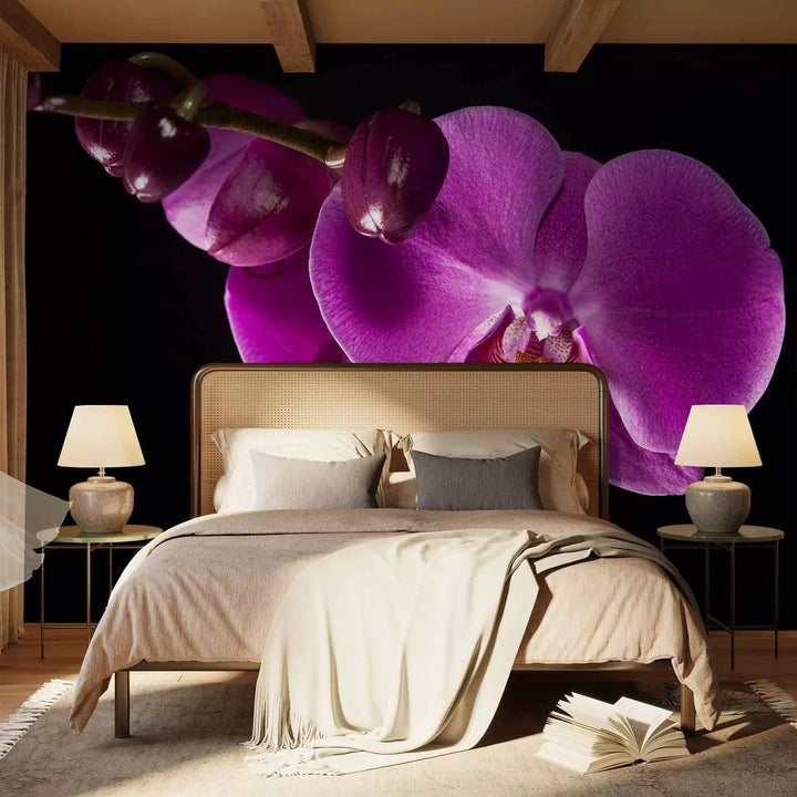 Fototapetes - Violetas orhidejas uz melna fona viesistabas interjerā G-ART