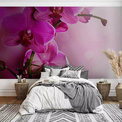 Wall Murals with orchids pink - pink orchid, 60622 g -art