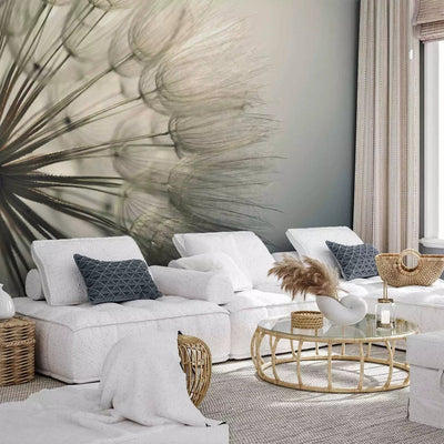 Wall Murals bedroom, with dandelions - gray fascination, 74562g -art