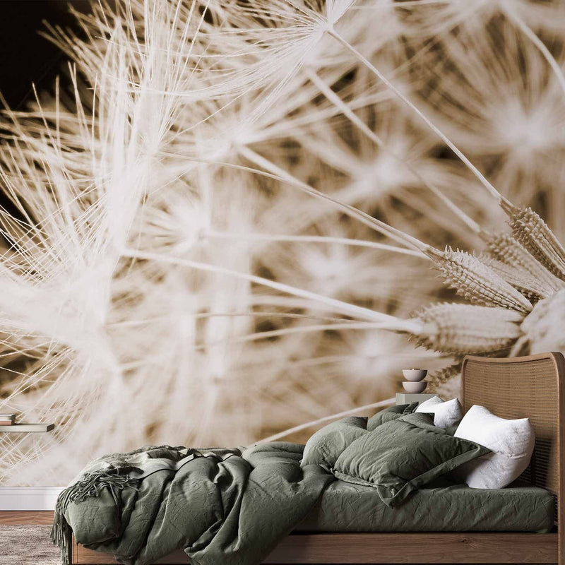 Wall Murals with dandelions - dandelion severs in shades of 60150 g -art