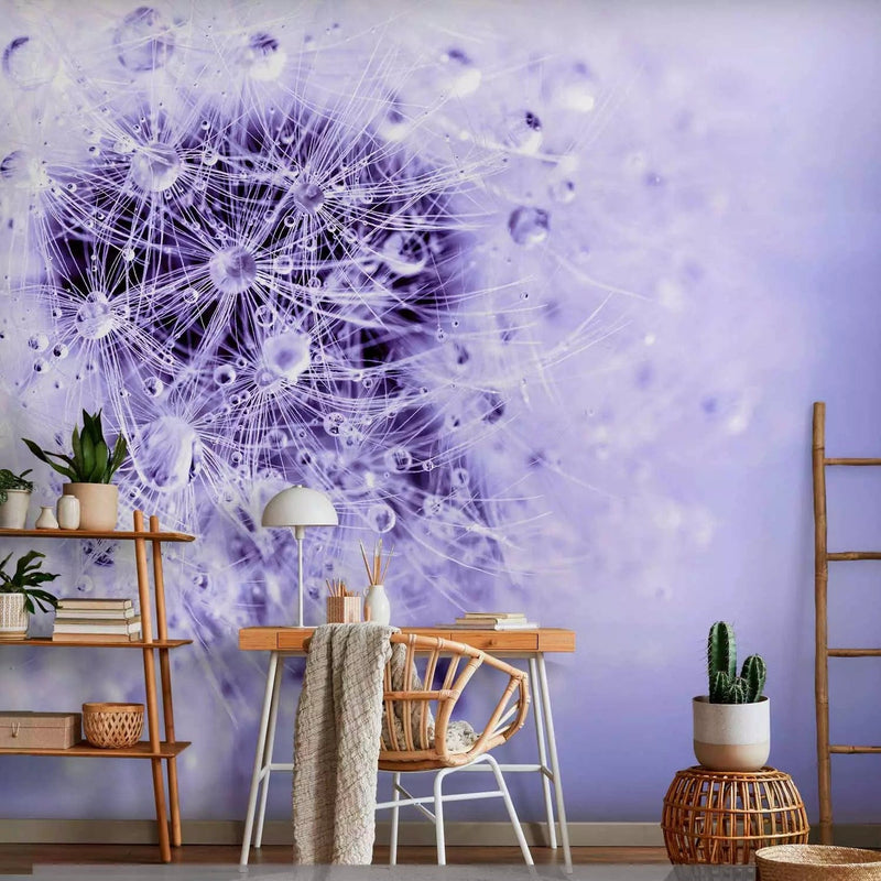 Wall Murals with dandelions - a large white dandelion in purple shades., 64288g -art