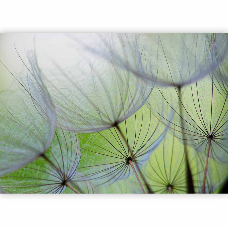 Fototapetes ar pienenēm uz zaļa fona - Brīnišķīgi mirkļi, 60366 G-ART
