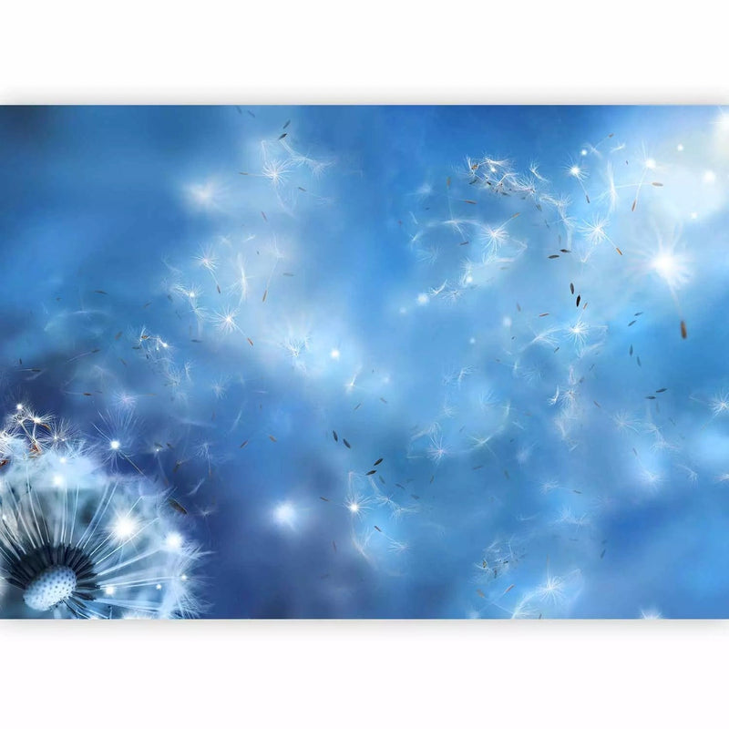 Fototapetai su kiaulpienėmis mėlynais atspalviais - „Nature Magic“ - 97285 G -At