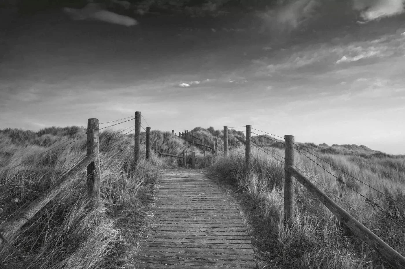 Fototapetes ar pludmali - Ainava rītausmā, melnbaltas, 375x250 cm D-ART