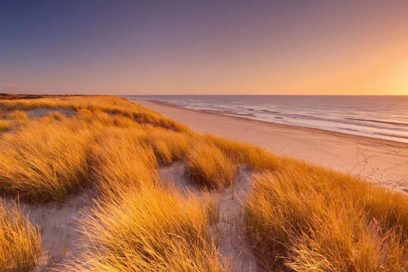 Fototapetes ar pludmali - Kāpas un saulriets, dzeltena, zila D-ART