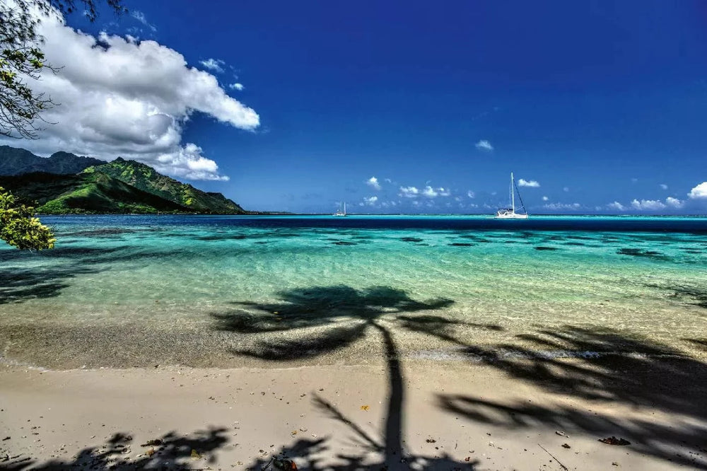 Fototapetes ar pludmali - Moorea pludmale, zilā krāsā - viegli līmēt D-ART