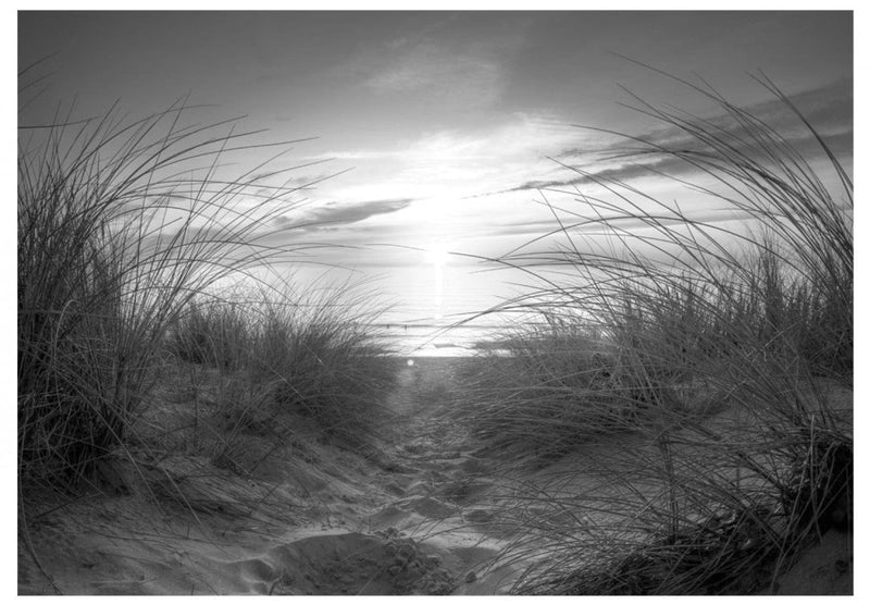Fototapetes ar pludmali - Pludmale (melnbalta), 61606 G-ART