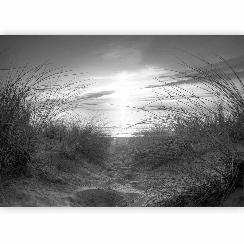 Valokuvatapetti rannan kanssa - ranta (mustavalkoinen), 61606 g -tert