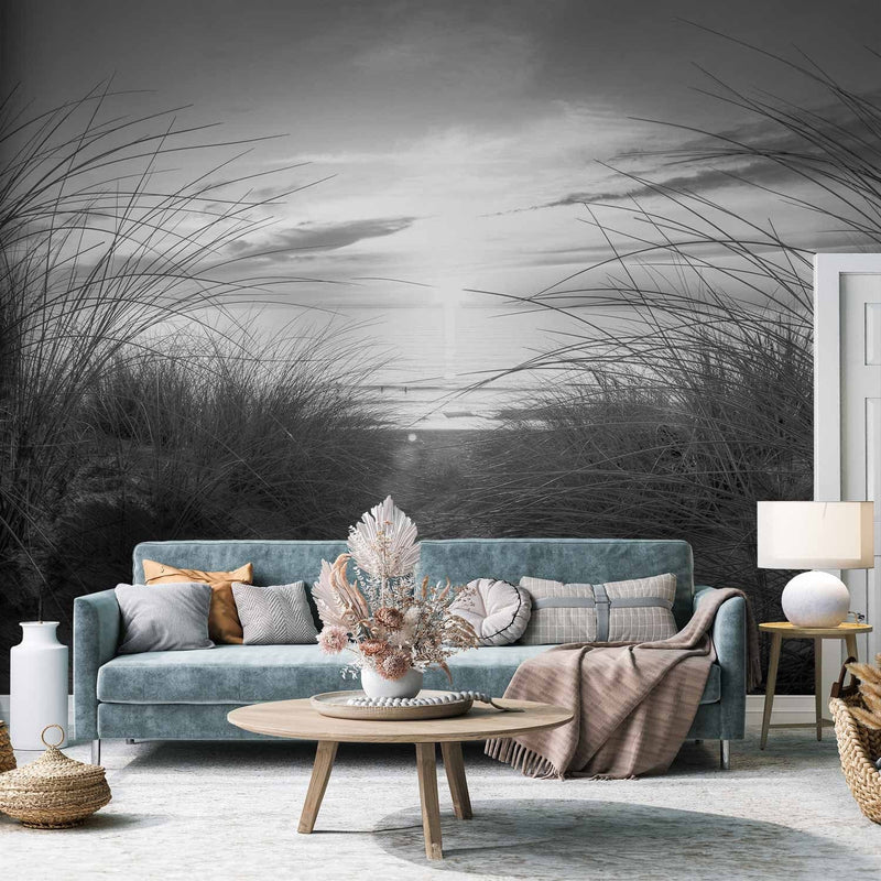 Wall Wall Murals with beach - nature - beach (black and white) - 61606g -art