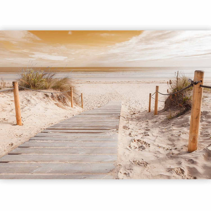 Wall Murals with the beach - on the beach - Sepija - 61591 - Extend Size G -Art