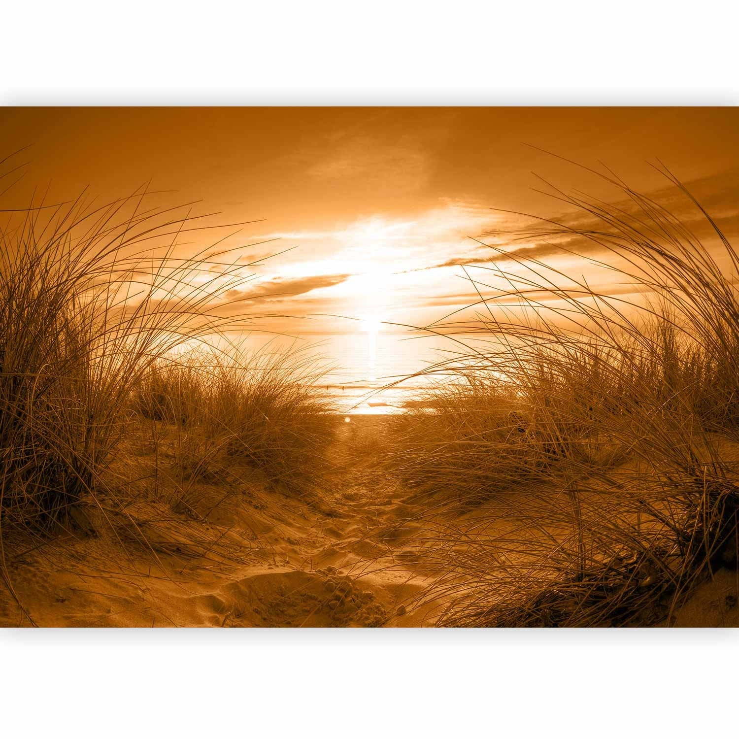 Fototapetes ar pludmali - pludmale ar sulīgu zāli un skatu uz jūru G-ART