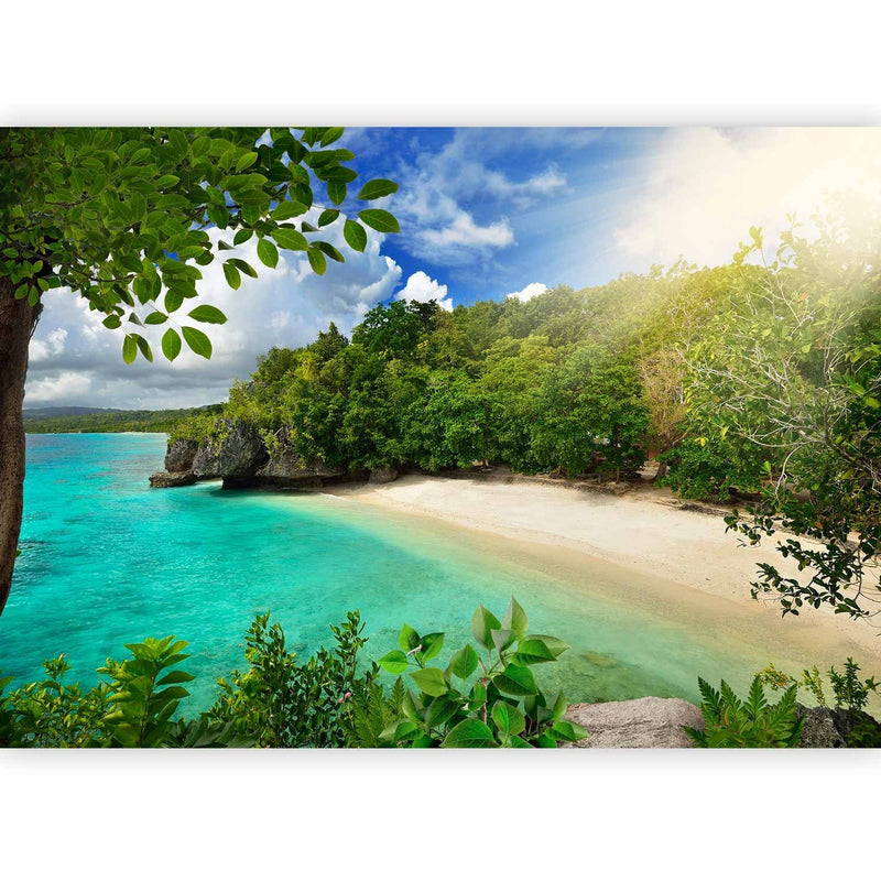 Summer Wall Murals with the beach - sunny beach - 61585g -art