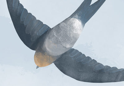 Fototapetes ar putniem - Lakstīgalas uz zilās debesis, 143791 G-ART