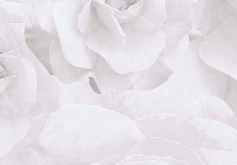 Fototapetes ar rozēm - Dabas skaistums gaiši pelēkā, 143821 G-ART