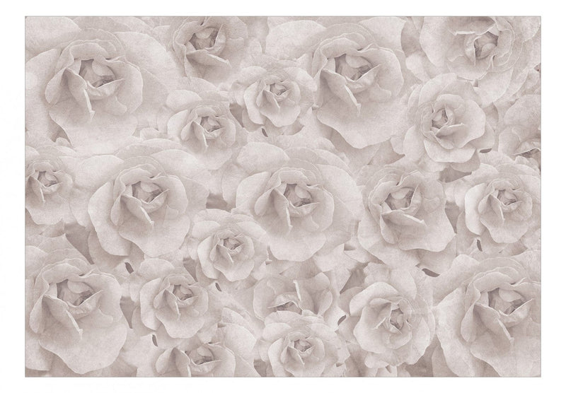 Fototapetes ar rozēm - Dabas skaistums krēmkrāsā, 143820 G-ART