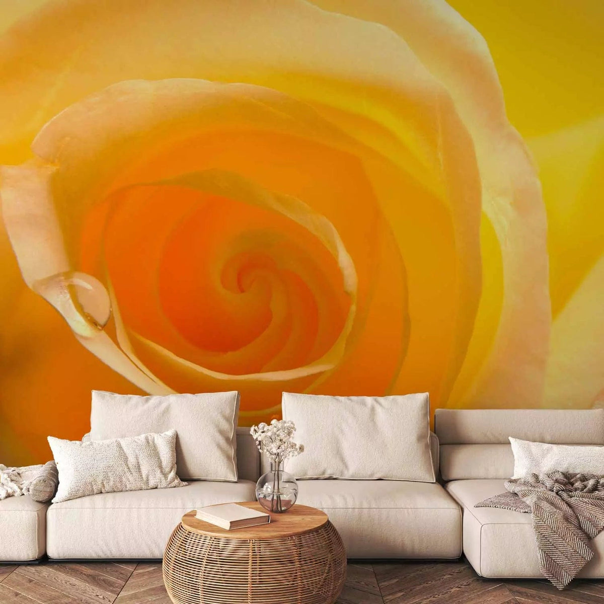 Wall Murals
