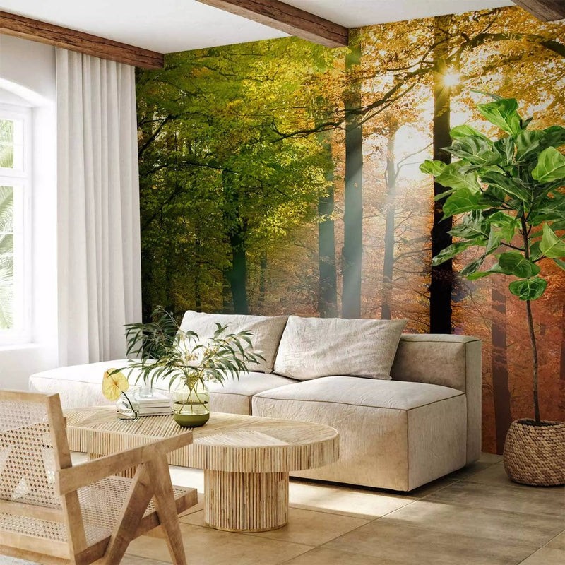 Wall Murals with autumn forest - Golden Autumn - 59842 - choose here G-ART