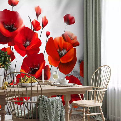 Wall Murals with red poppies on a gray background - 60660 - Buy G -Art