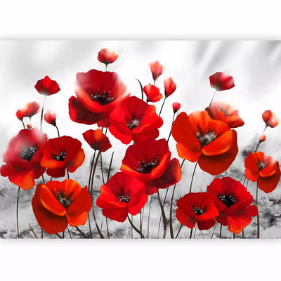 Wall Murals with red poppies on a gray background - 60660 - Buy G -Art