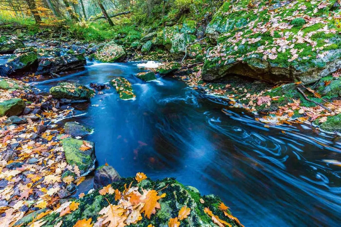 Fototapetes ar skaistu ainavu - Rudens straumes, agra rudens krāsas D-ART
