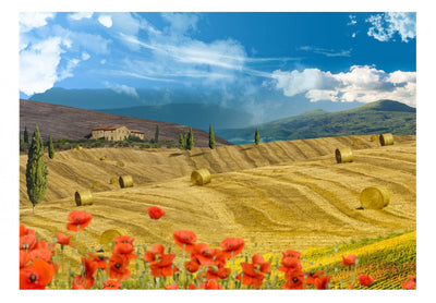 Fototapetes ar skaistu Itālijas skatu - Rudens ainava, 59852 G-ART