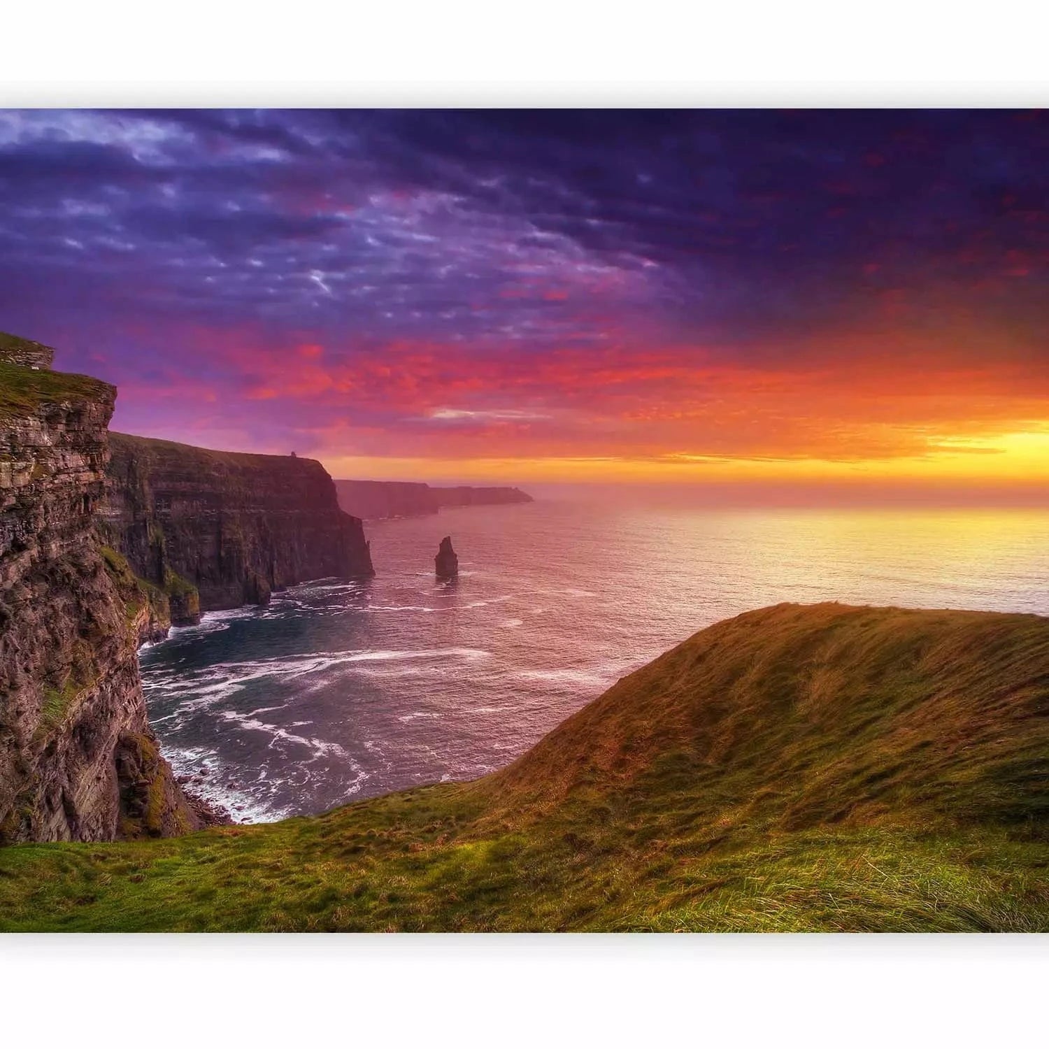Fototapetes ar skatu uz jūru - Mohēras klintis, Īrija, violeta G-ART