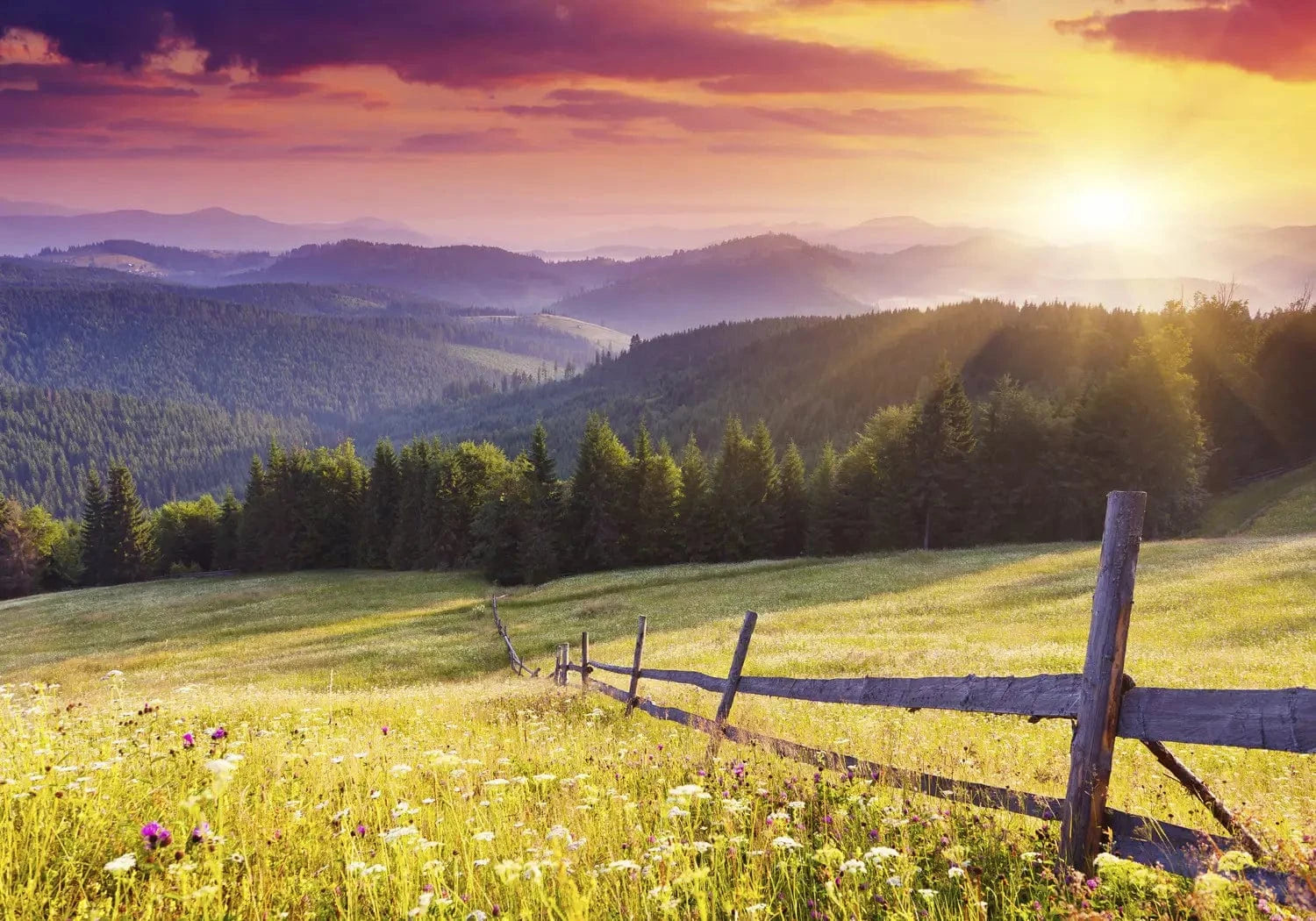 Fototapetes ar skatu uz kalniem - Kalni rītausmā - uz pasūtījumu G-ART