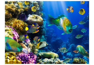 Fototapetes ar tropiskām zivtiņām un korāļiem - Zemūdens paradīze, 60006 G-ART