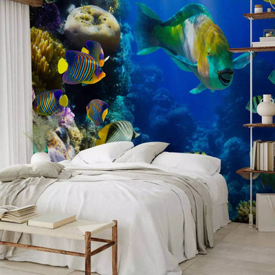 Wall Murals with tropical fish and corals - Underwater paradise G-ART