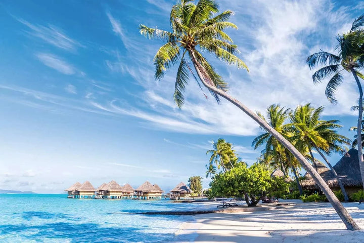 Fototapetes ar tropisko jūras skatu - Palma uz Bora Bora, zilā krāsā D-ART