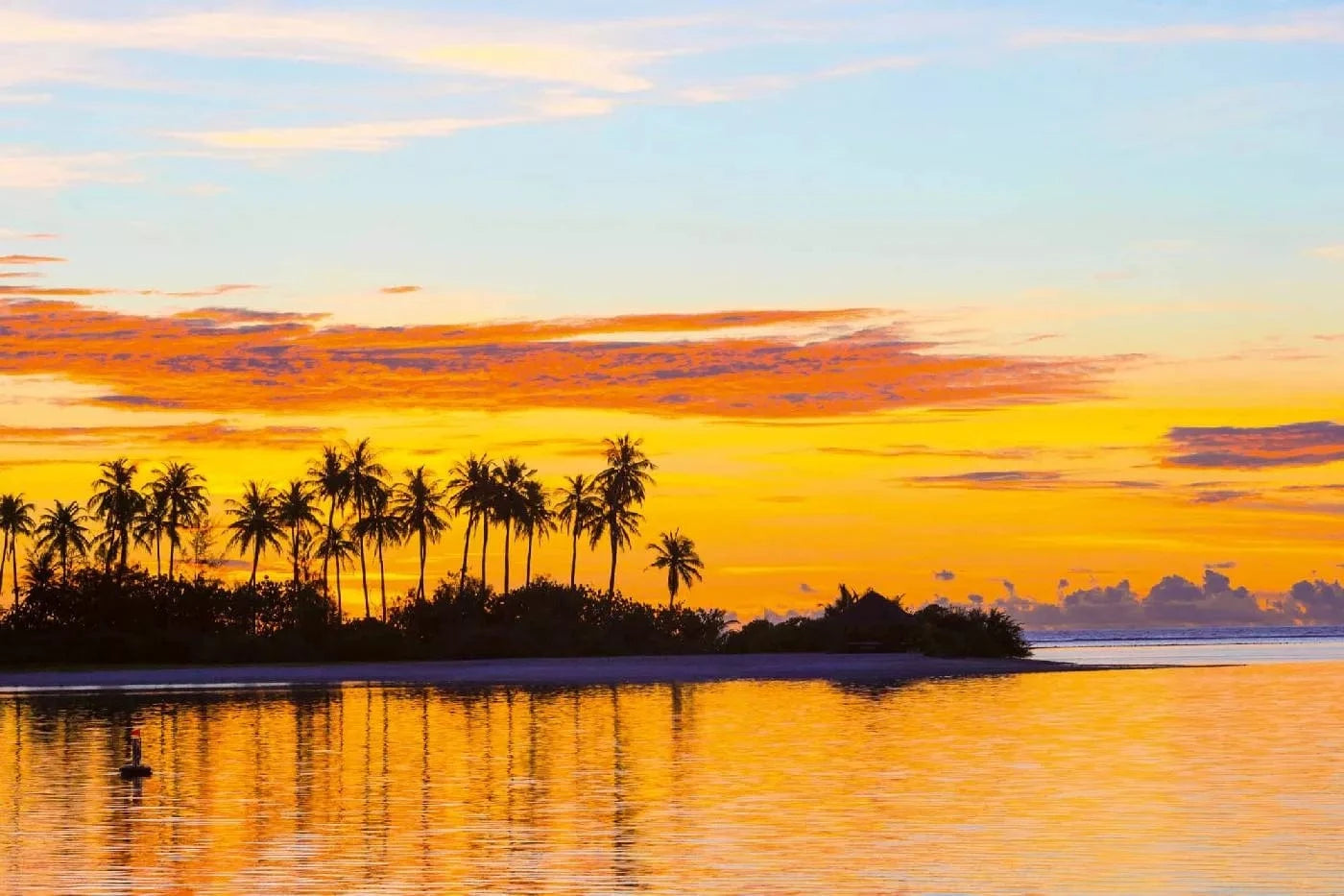 Fototapetes ar tropisko jūru - Palmas uz oranža saulrieta fona D-ART