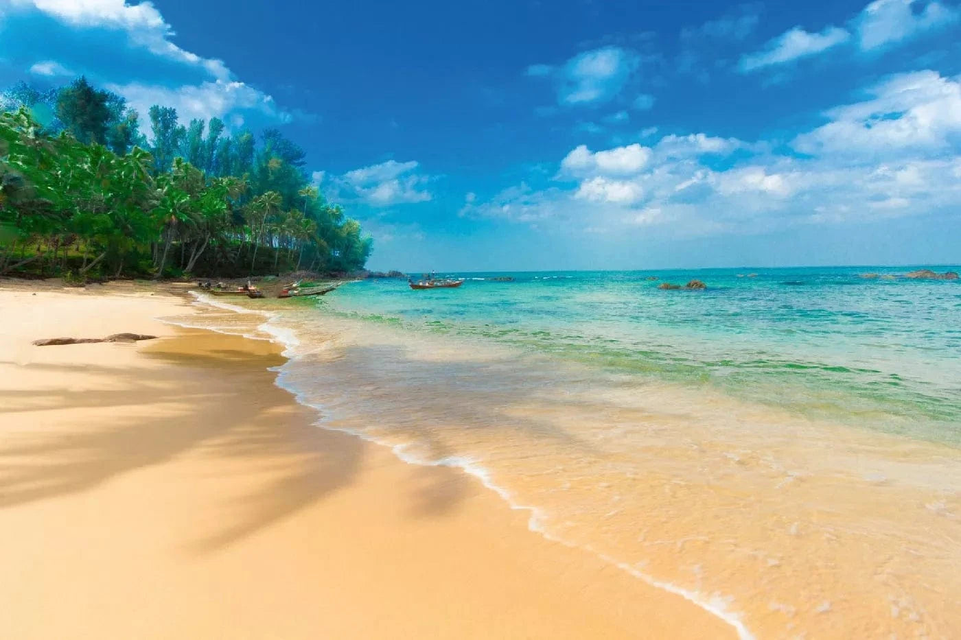 Fototapetes ar tropisko skatu - Andamani un Nikobari salas, zila, zaļa D-ART