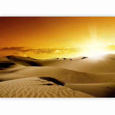 Wall Murals With desert - Sahara and camels - 60292 - orange G -Art