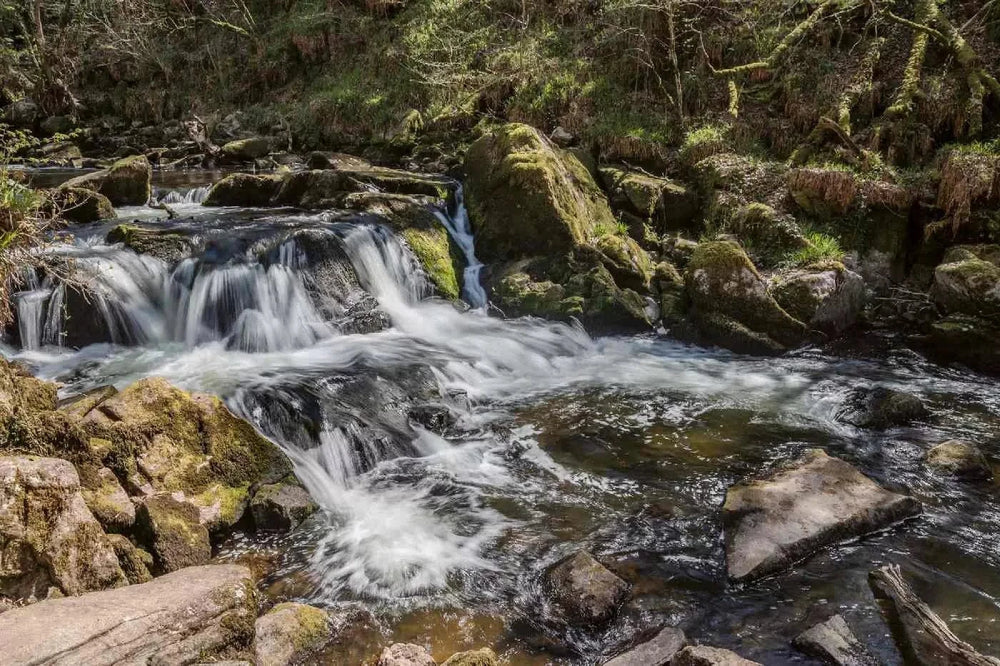 Fototapetes ar ūdenskritumu - Kornvola, Anglija, zaļos toņos D-ART