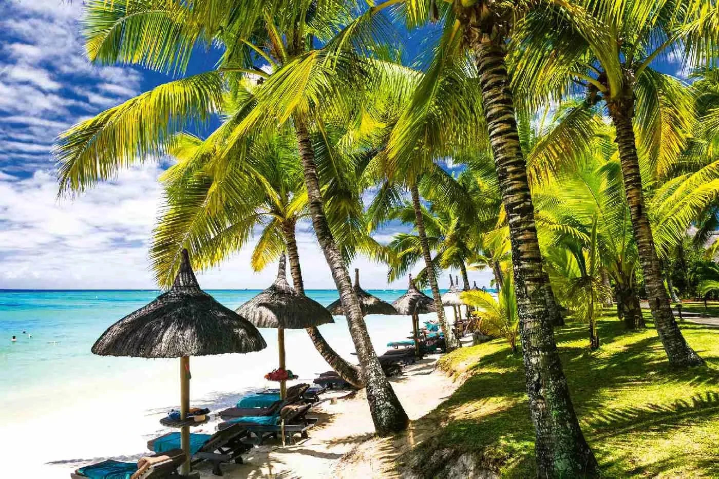 Fototapetes ar vasaras jūru - Balta smilšaina pludmale, zaļa un zila D-ART