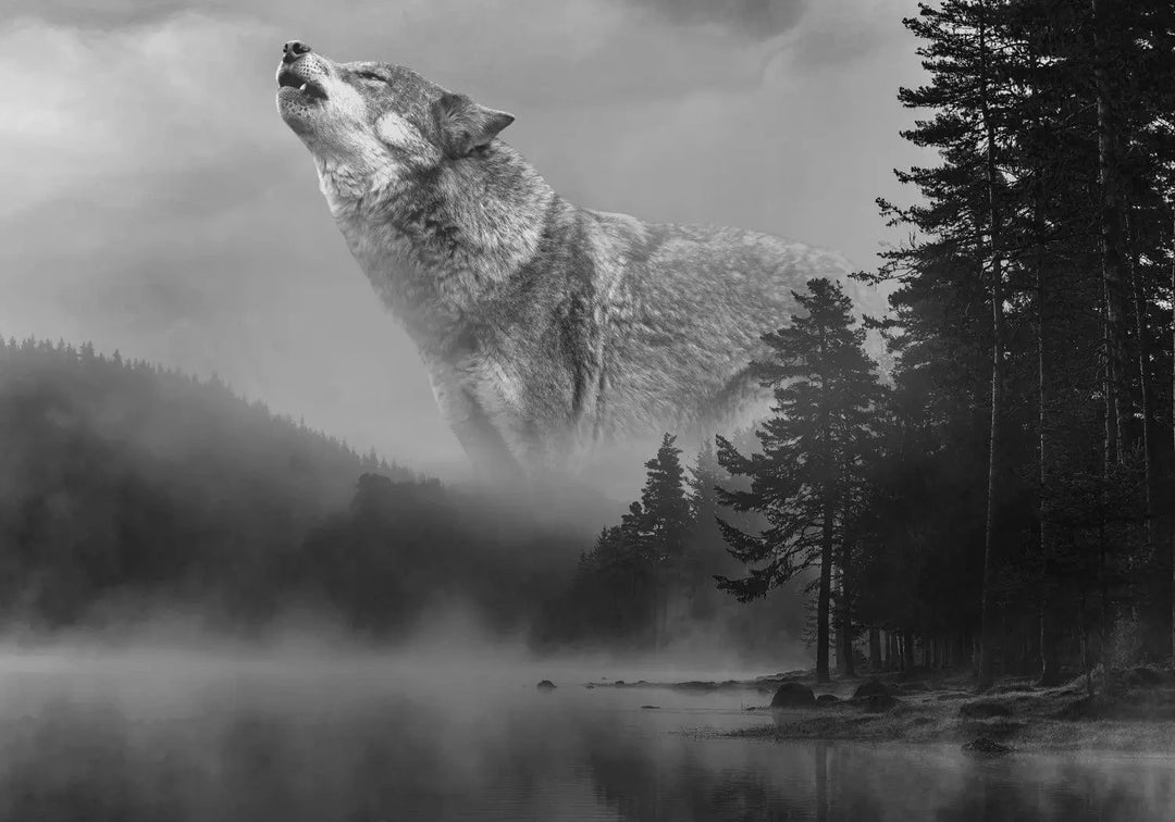 Fototapetes ar vilku pelēkos toņos - Meža noslēpumi G-ART