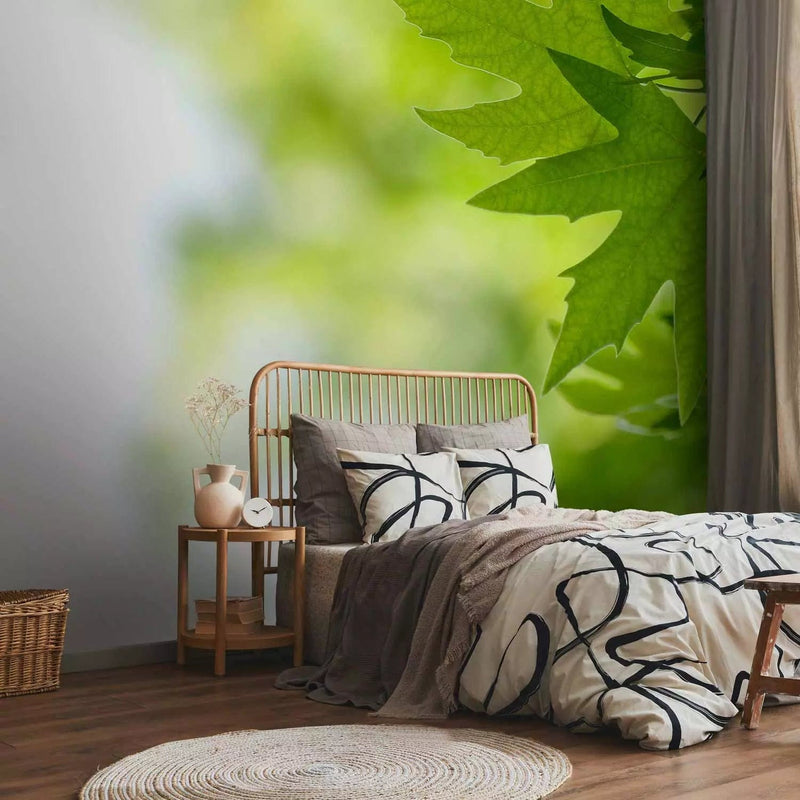 Wall Murals with green leaves, 60208 - in a choice of different materials G-ART