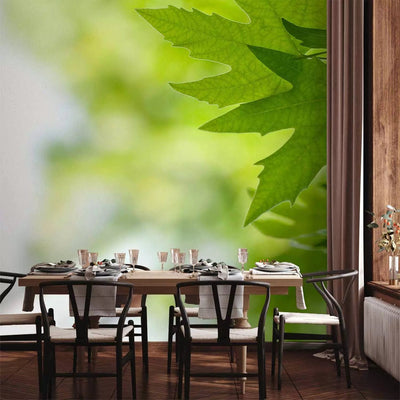 Wall Murals with green leaves, 60208 - in a choice of different materials G-ART