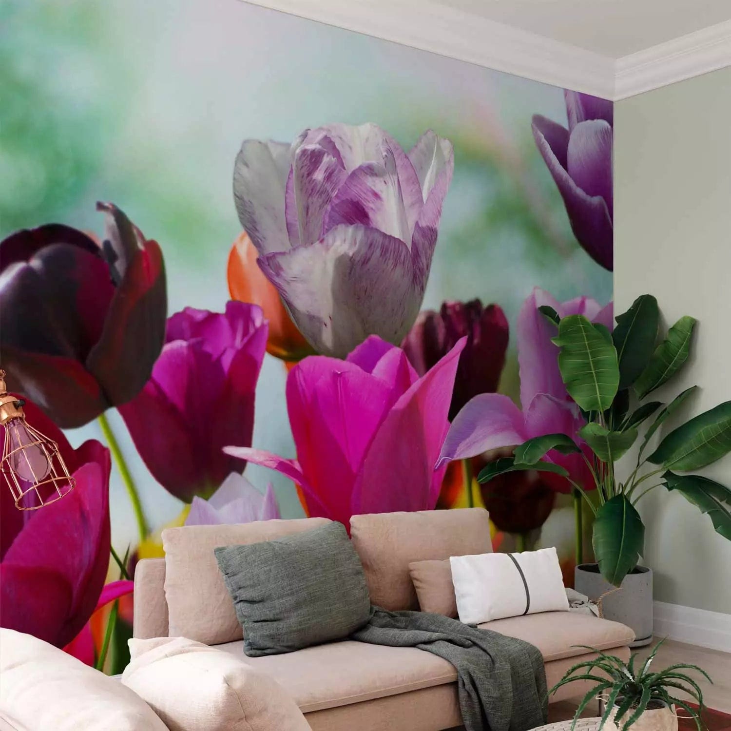 Wall Murals