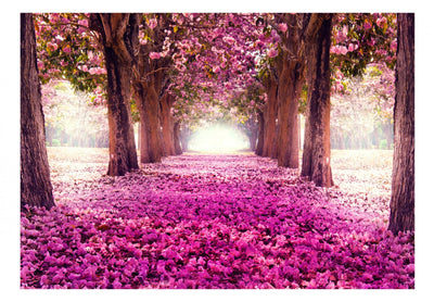 Fototapetes ar ziedu aleju violetos toņos - Rozā ceļš, 60422 G-ART