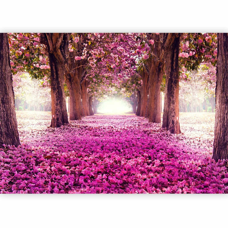 Wall Murals with a flower alley in purple shades - the pink path - 60422g -art