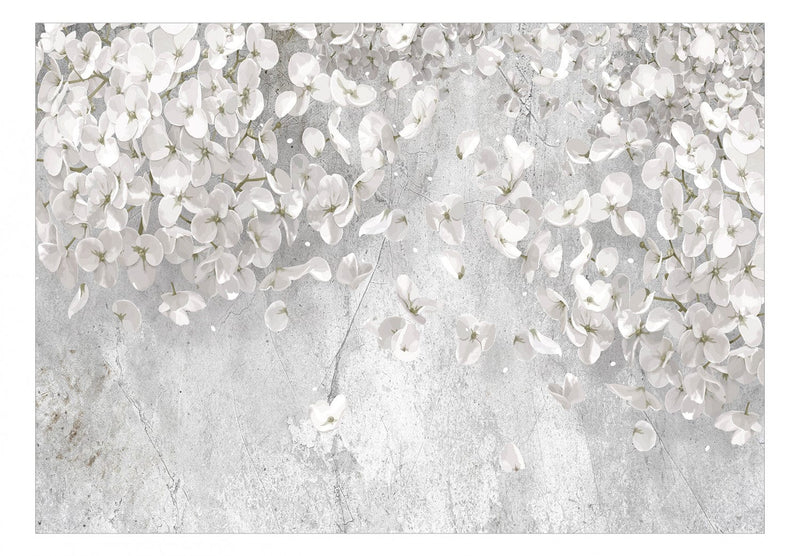 Fototapetes - Balti ziedi uz betona, 137926 G-ART