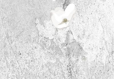 Fototapetes - Balti ziedi uz betona, 137926 G-ART