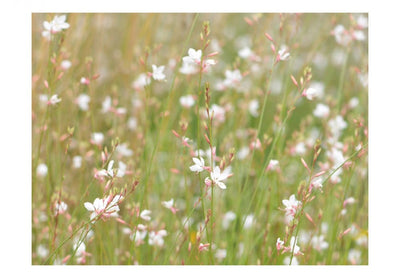 Fototapetes Balti ziediņi 60472 G-ART