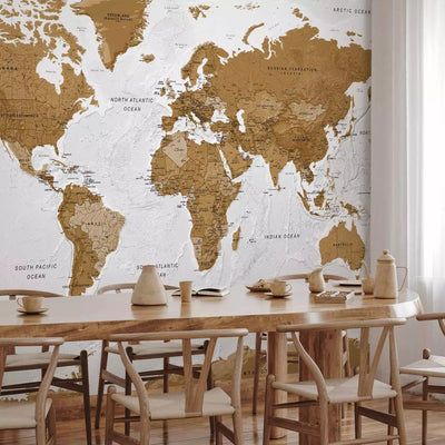 Wall Murals with modern world map in white and brown tones G-ART