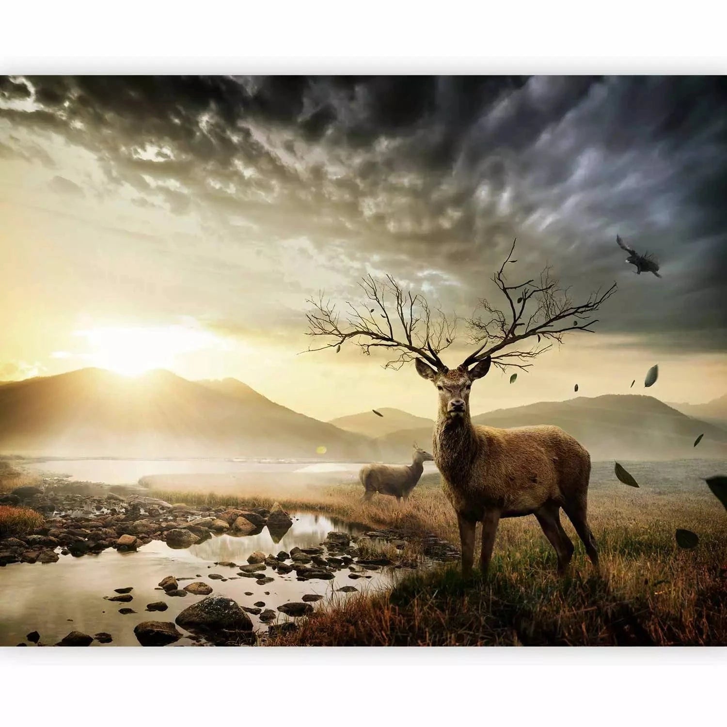 Fototapetes - Briedis pie kalna strauta, saulainos toņos G-ART