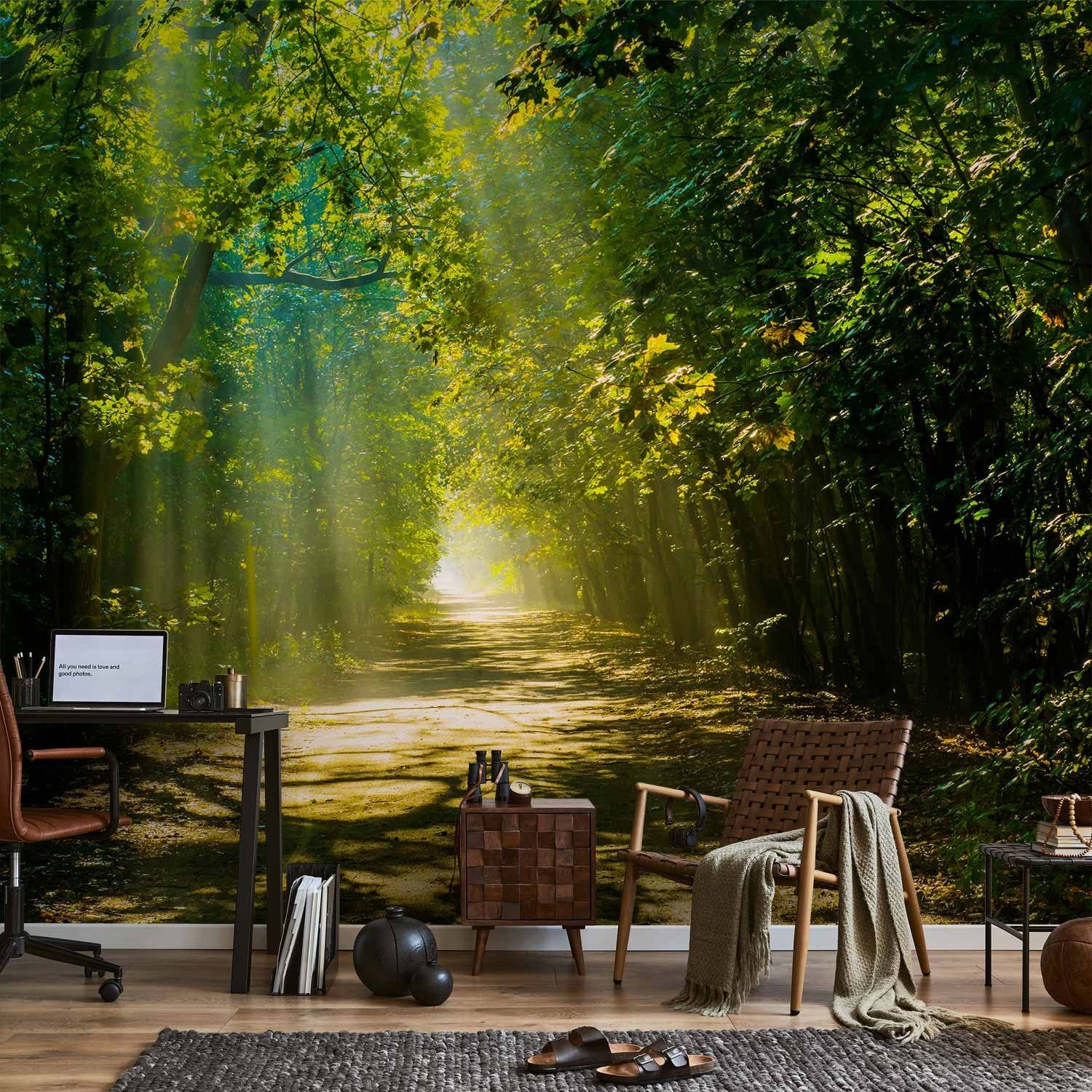 Fototapetes - Meža ainava - relaksējošs ceļš saulē starp kokiem, 62336 G-ART